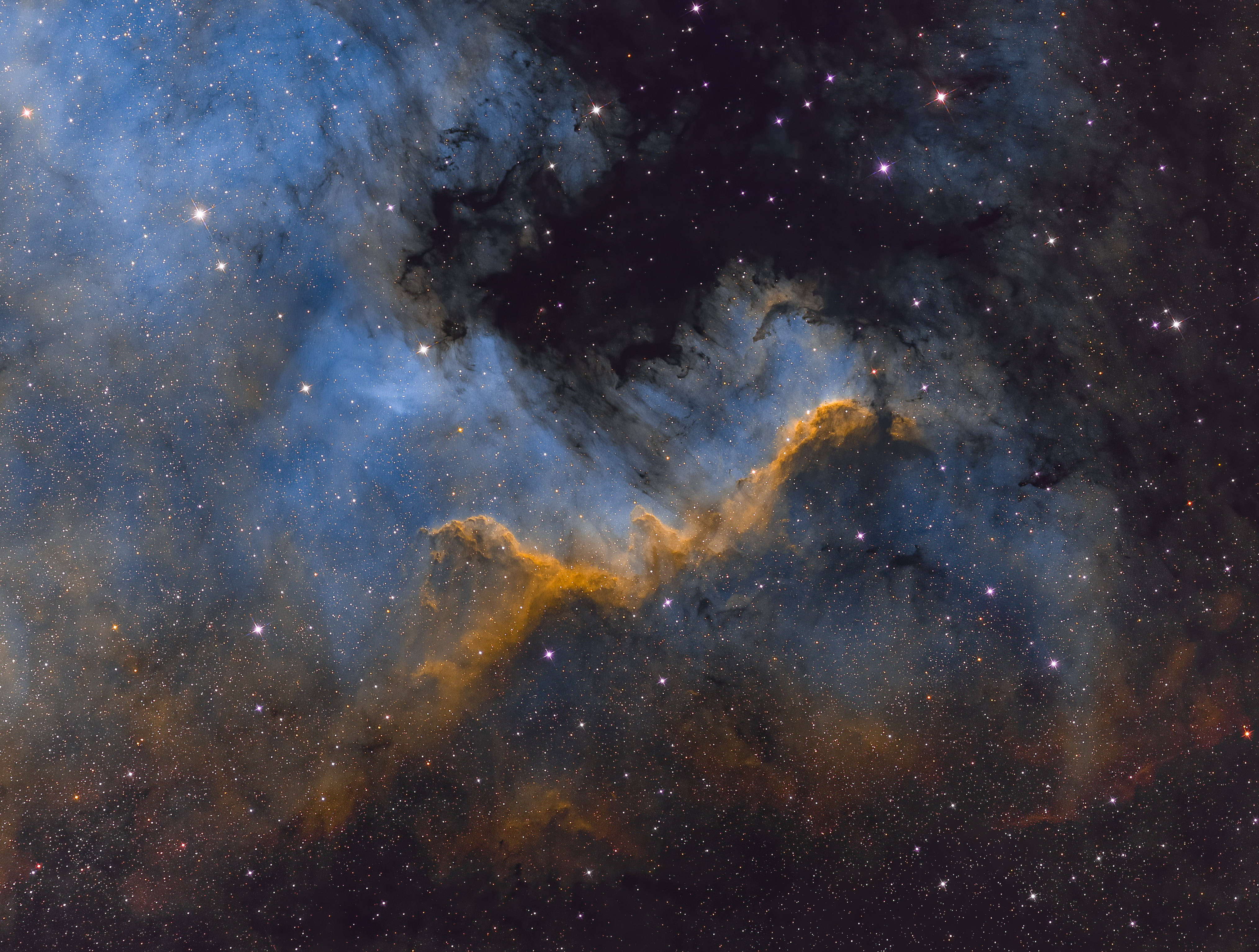 NGC 7000